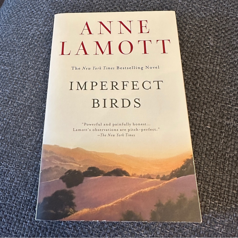 3/$15 - Imperfect Birds, by Anne Lamott